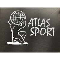 Atlas Sport 312 см - 10ft Pro (с лестницей, внешняя сетка, сливовый) Image #7