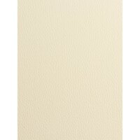 Alpin TMA-70 (cream) Image #7