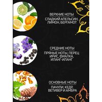 Tesori d'Oriente Крем-гель для душа Аюрведа Масло амлы и пачули 250 мл Image #2